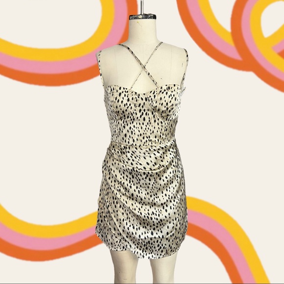 Zara Dresses & Skirts - Zara NWT cheetah dress size medium